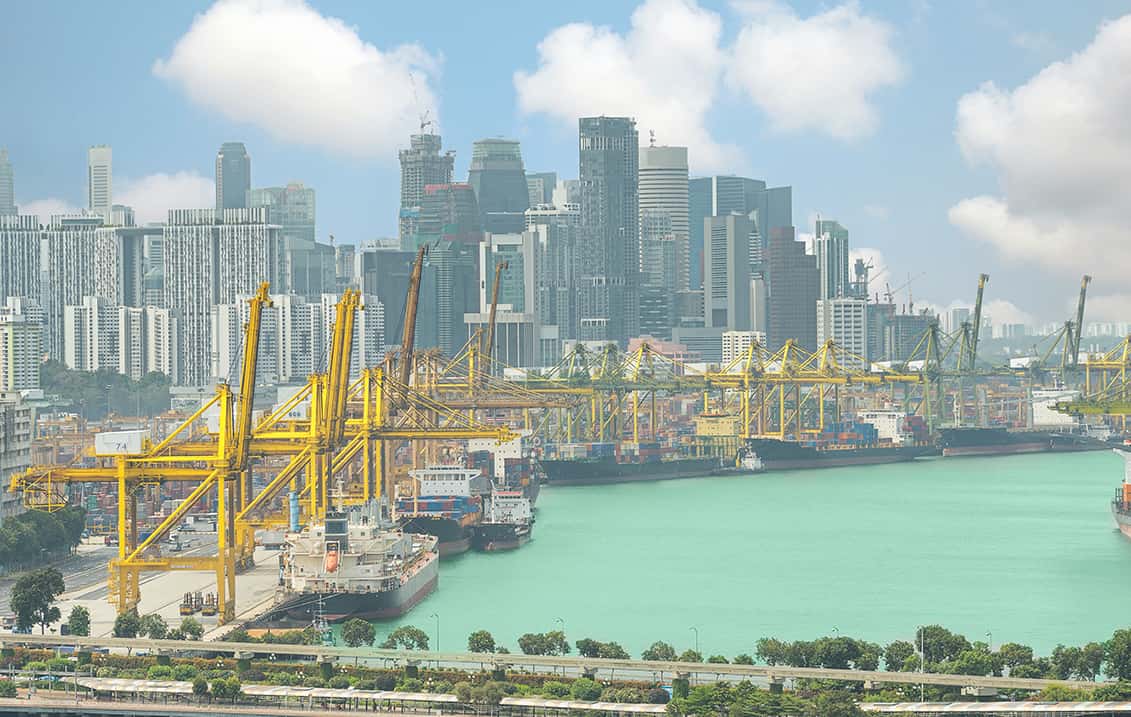 South Asia port